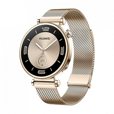Watch Huawei Watch GT4 41mm (Aurora-B19M) - Gold